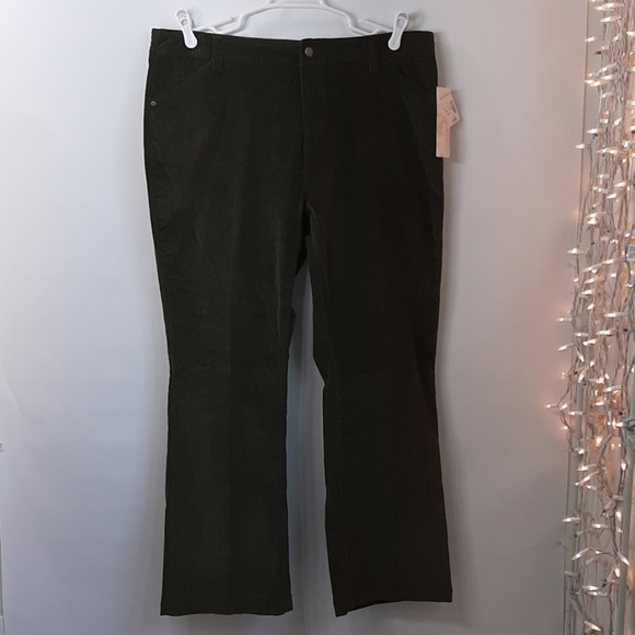 dress barn pants plus